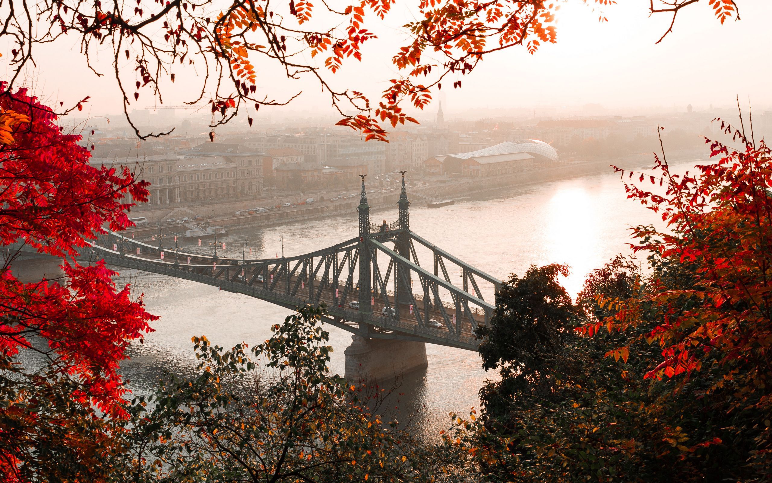 Download wallpaper 2560x1600 bridge, autumn, city, citadella, budapest, hungary widescreen 16:10 HD background