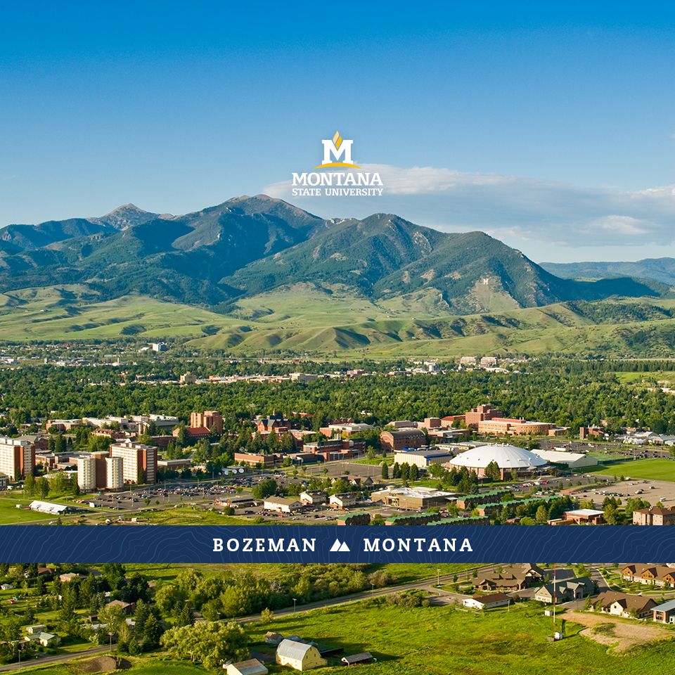 Desktop, Mobile and Tablet Wallpaper. Montana State University