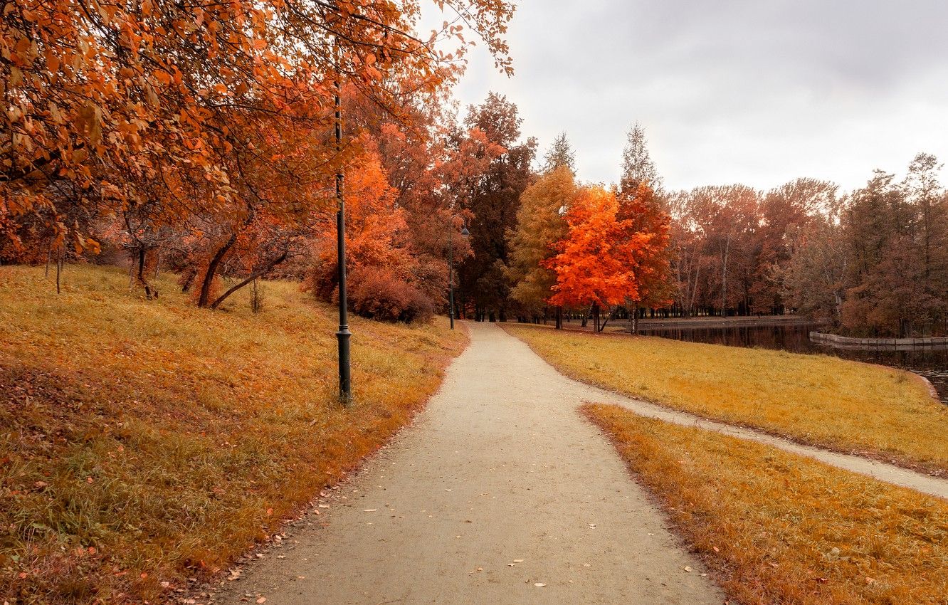 Wallpaper autumn, leaves, trees, Park, trail, nature, yellow, park, autumn, leaves, tree, path image for desktop, section пейзажи