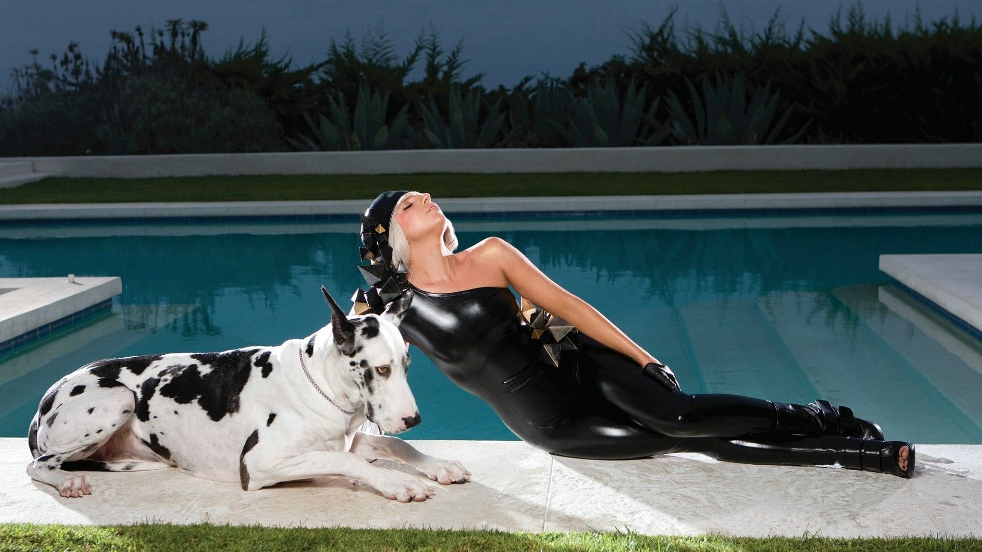 women, latex, dogs, Lady Gaga, singers, swimming pools, pokerface wallpaper