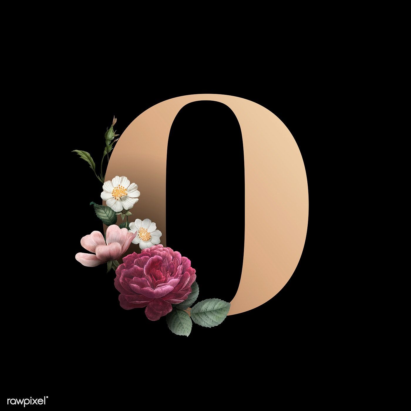 Classic and elegant floral alphabet font letter O vector. free image by rawpixel.com / manotang. Lettering alphabet fonts, Fonts alphabet, Lettering fonts