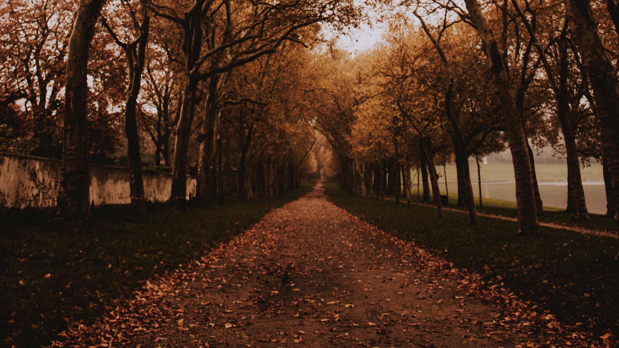 Download wallpaper 2048x1152 park, path, trees, alley, autumn ultrawide monitor HD background