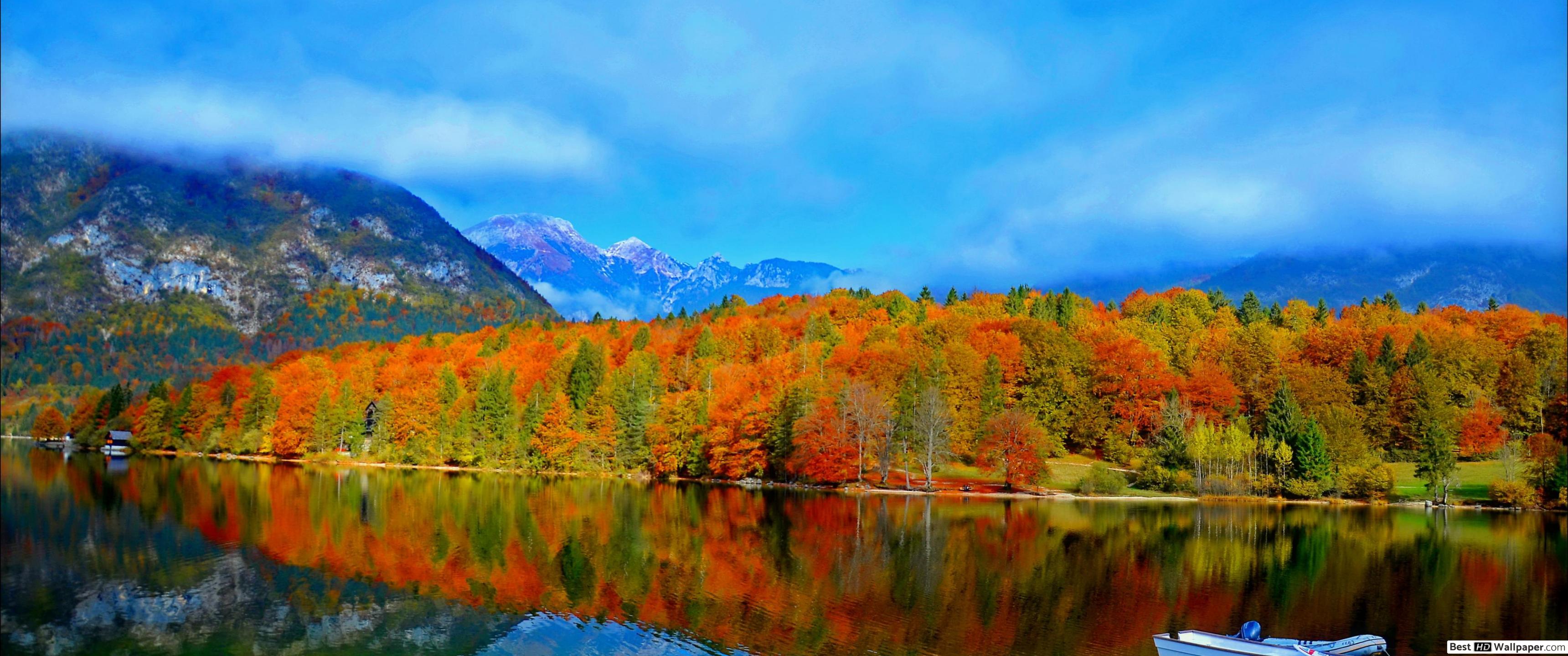 Autumn forest in the mountain HD wallpapers download