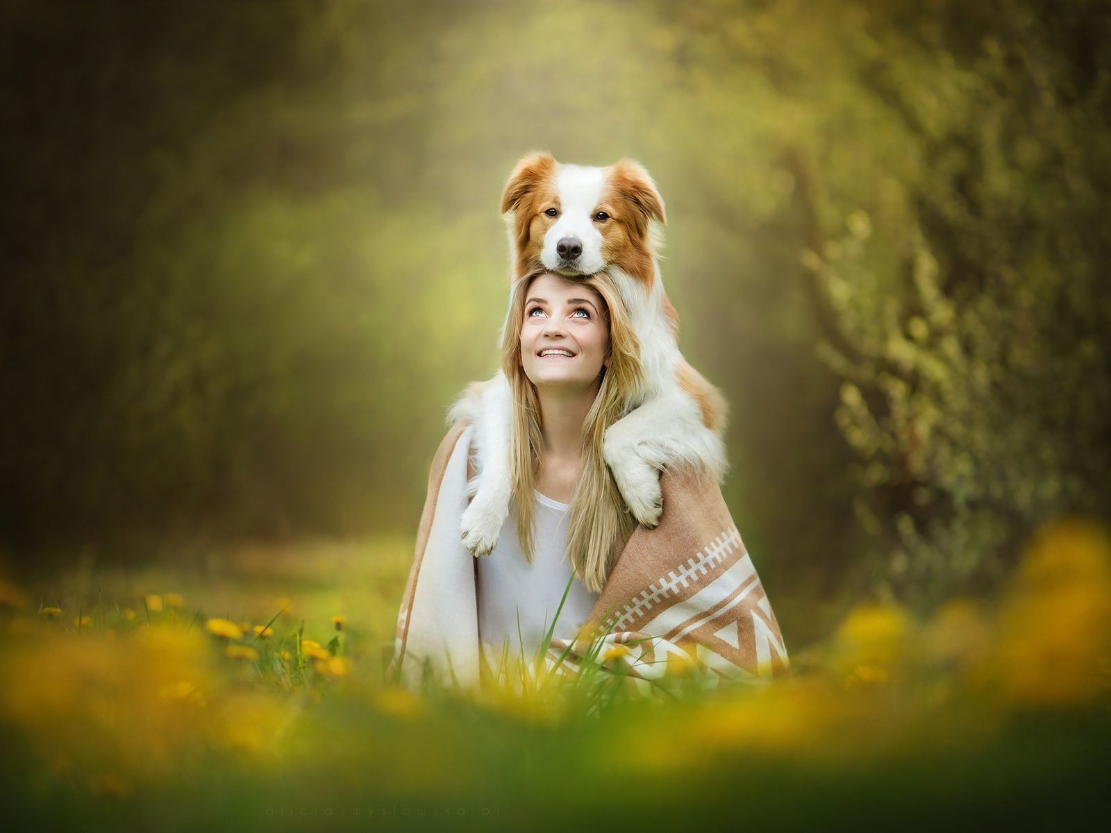 Cute Girl With Dog 1600x1200 Resolution HD 4k Wallpaper, Image, Background, Photo and Picture