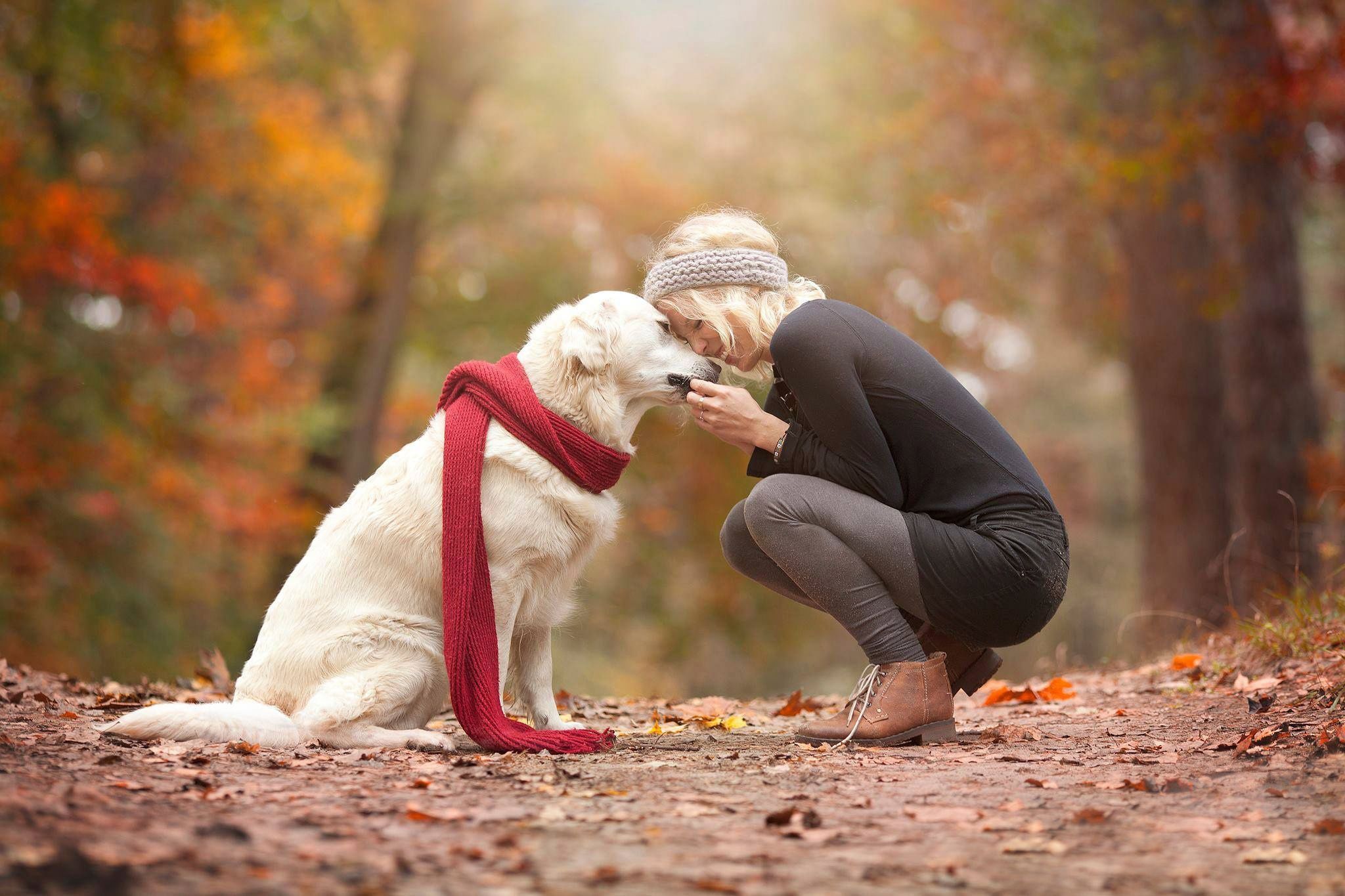 Download wallpaper friends, dog, girl, joy, meeting, dog resolution 2048x1365. Girl and dog, Dog photohoot, Dog walking