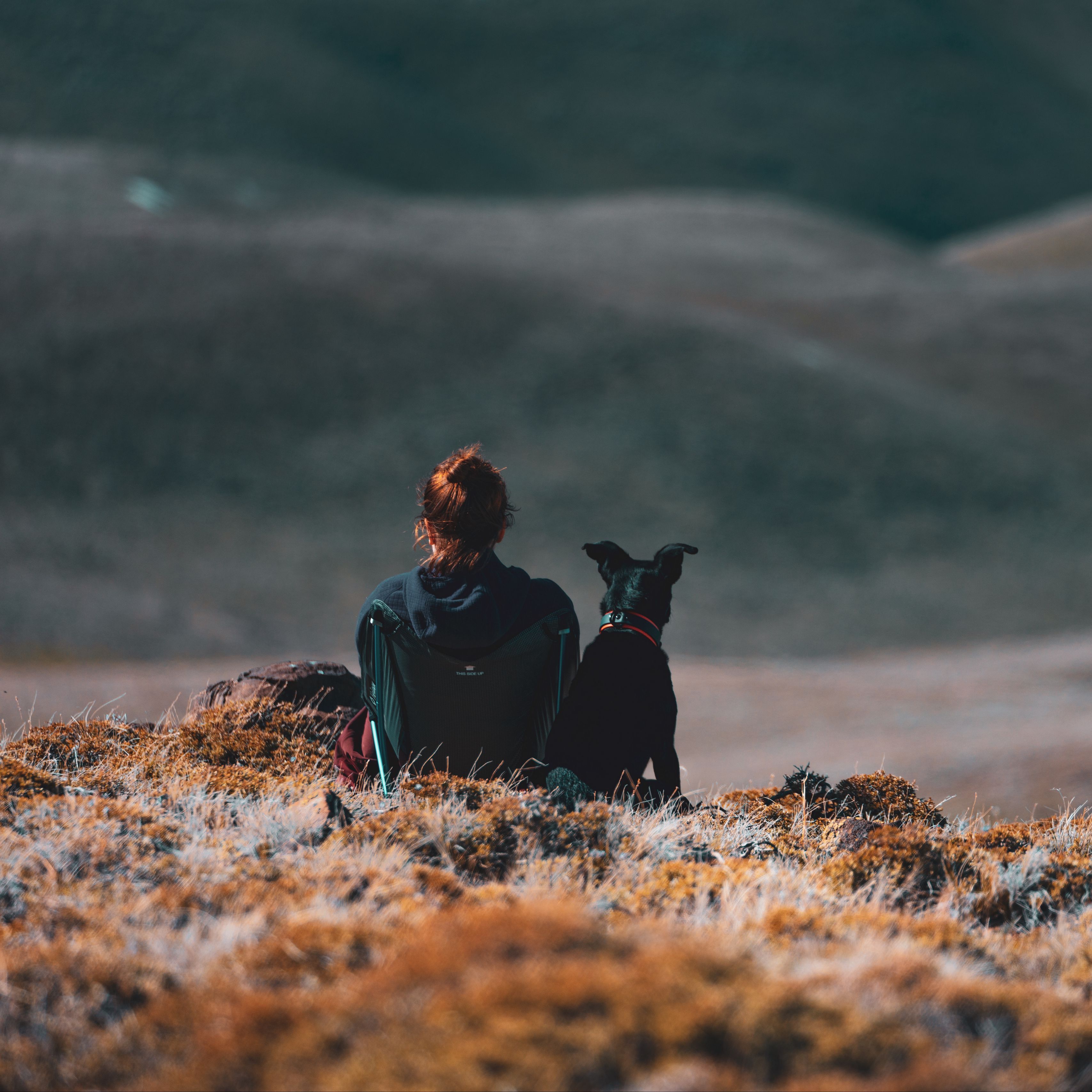 Download wallpaper 3415x3415 girl, dog, friends, mountains, trip ipad pro 12.9 retina for parallax HD background