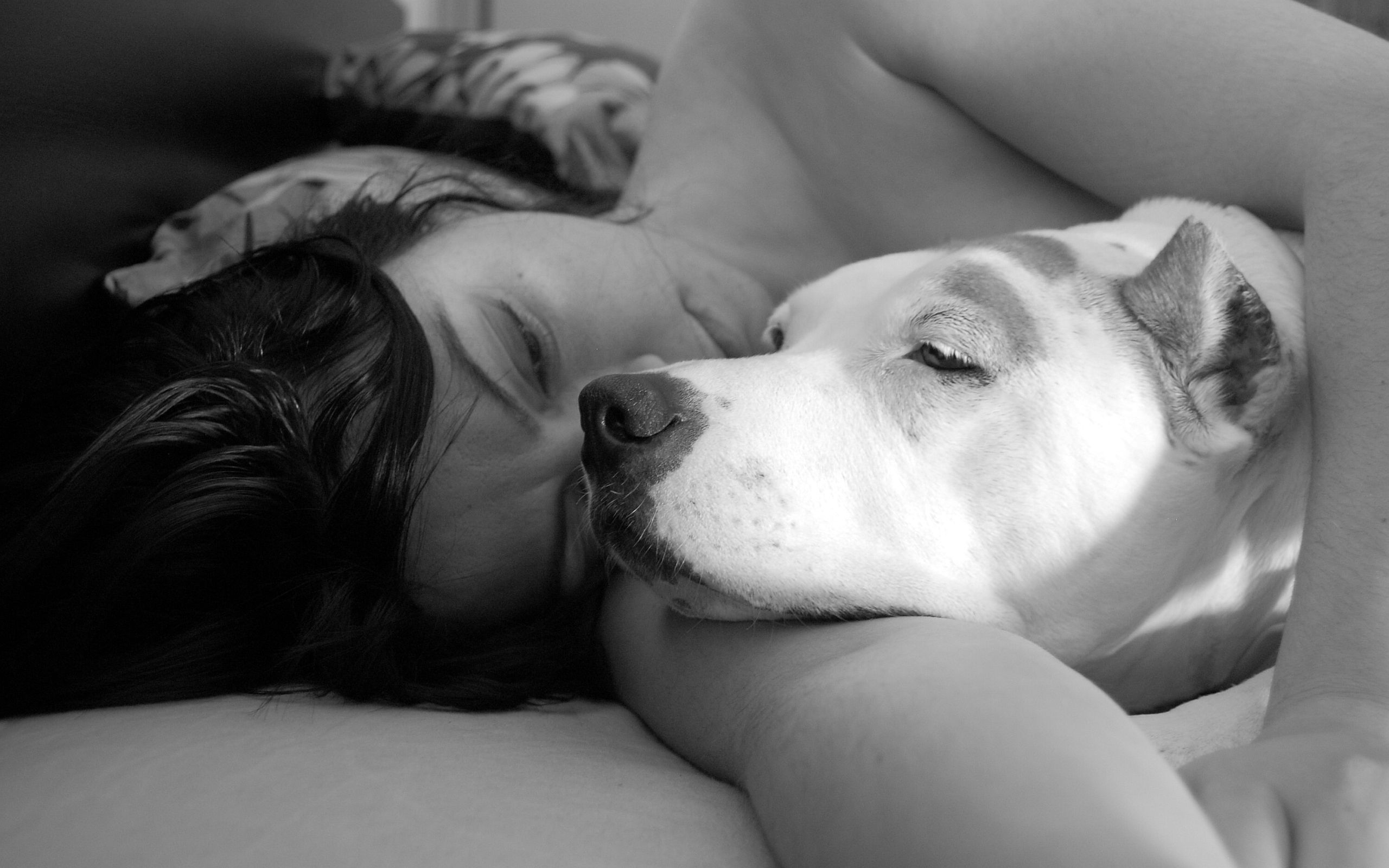 Dog making love with woman