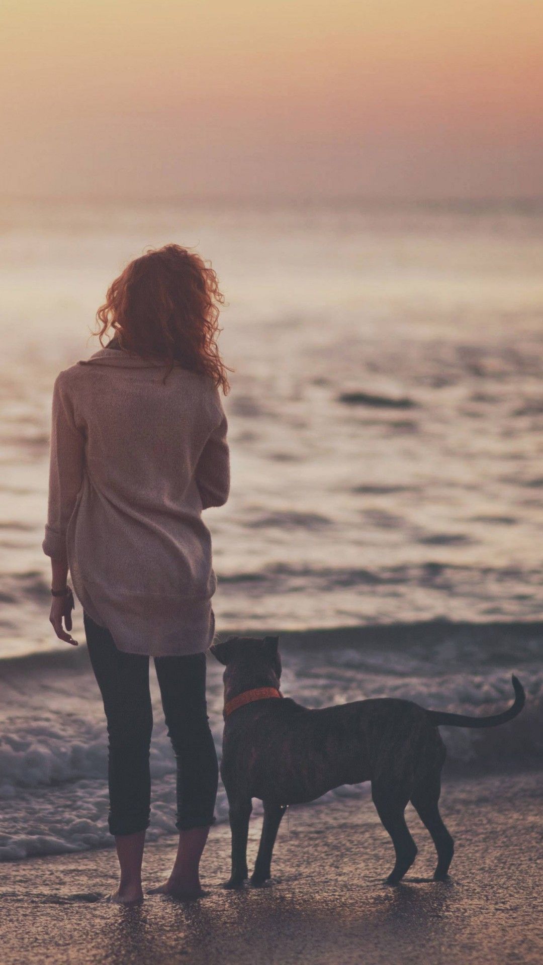 Girl And Dog Seaside IPhone 6 6 Plus And IPhone 5 4 Wallpaper