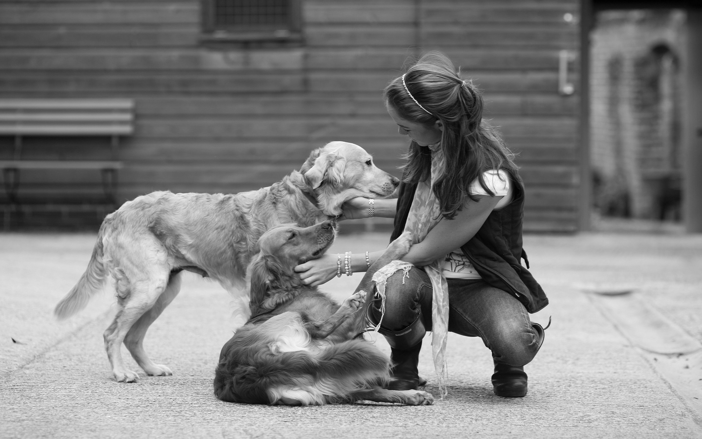 Dog Girl Wallpapers - Wallpaper Cave