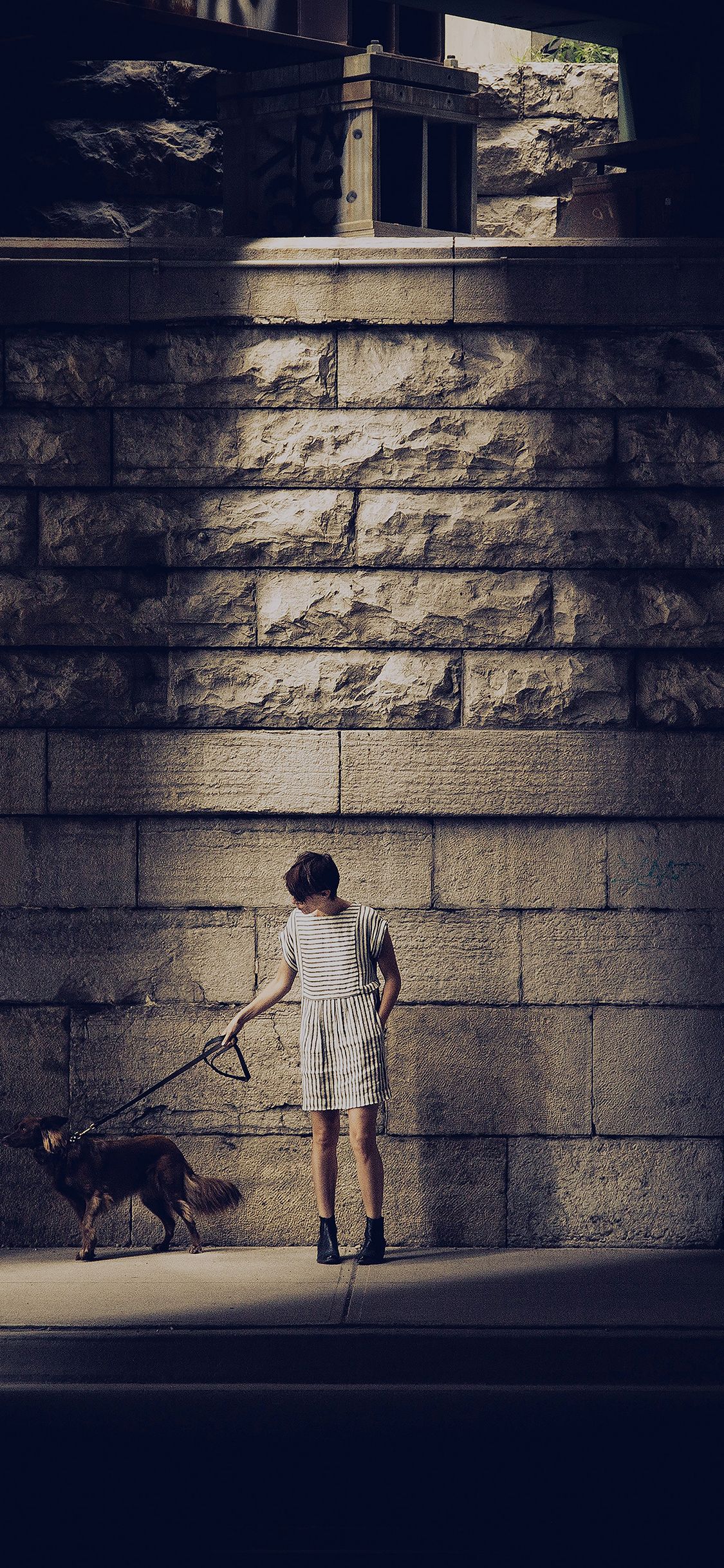 Woman Dog Street Blue Matthew Wiebe Wallpaper