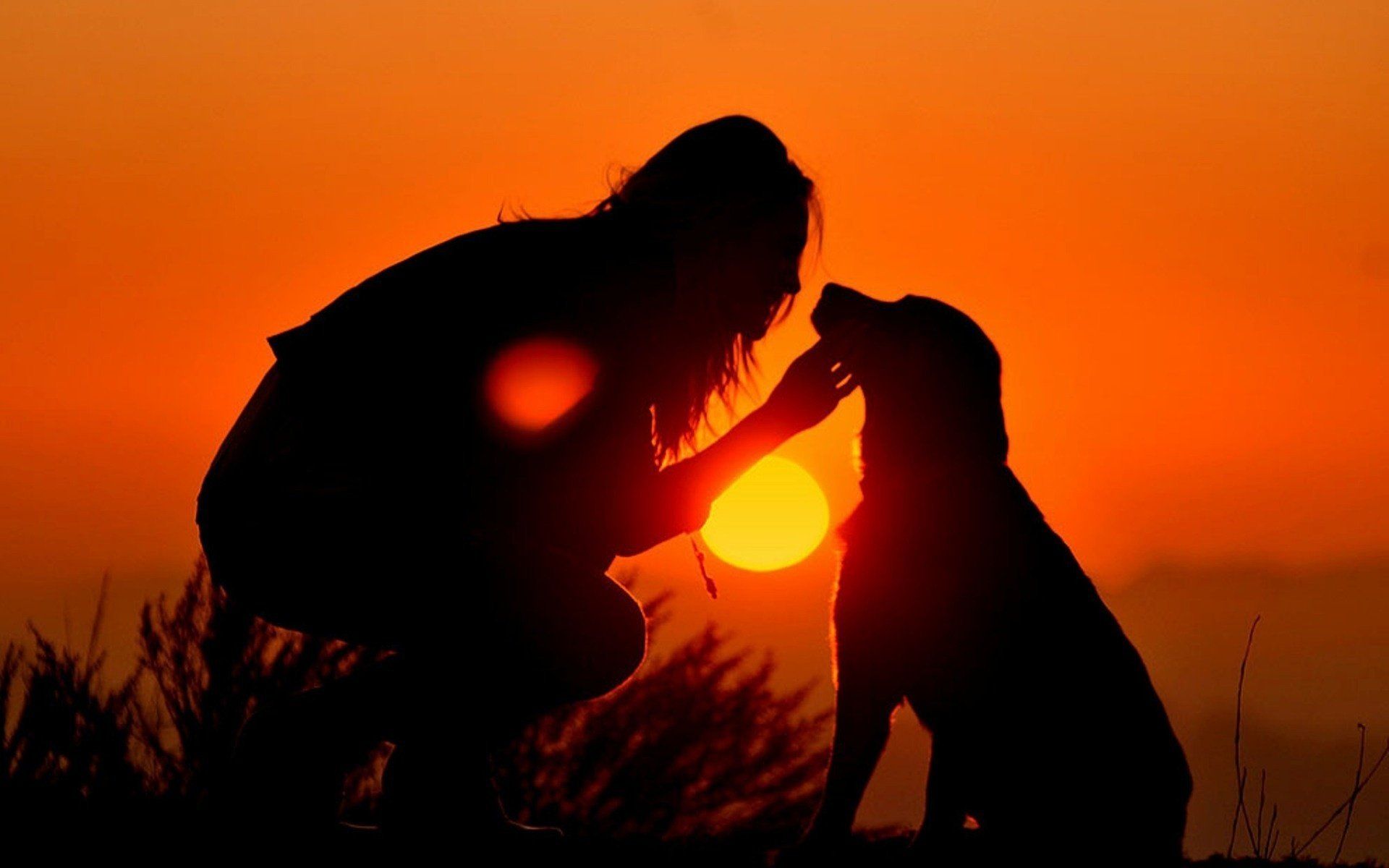 the, Sky, Dog, Silhouettes, Sunset, The, Sun, Girl Wallpaper HD / Desktop and Mobile Background