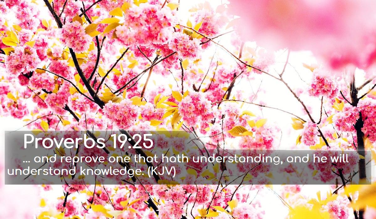 Bible Wallpaper Verse Wallpaper 0