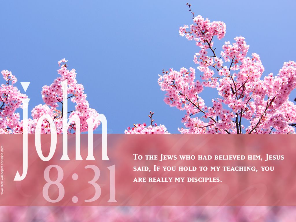Bible Quotes Pink. QuotesGram