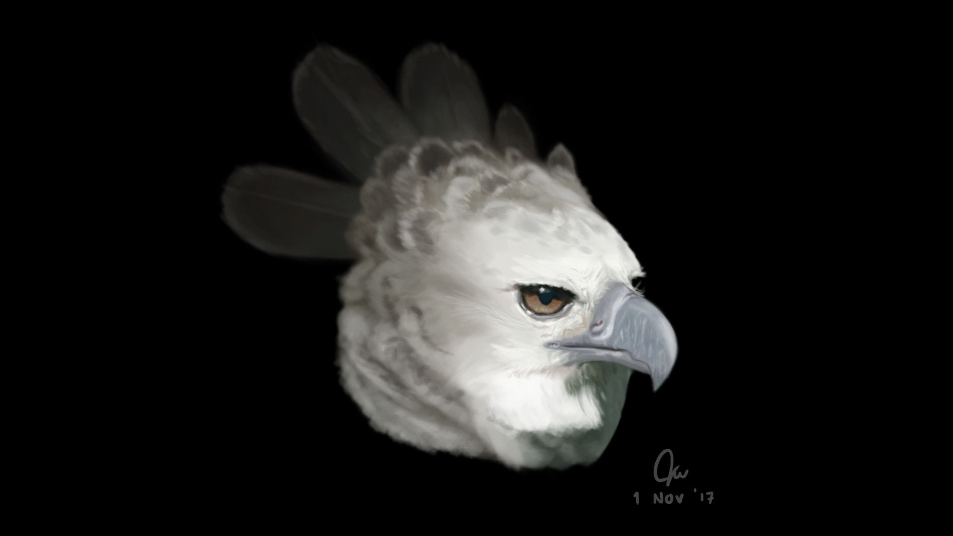 Animal Study Eagle, Jayden Wushke