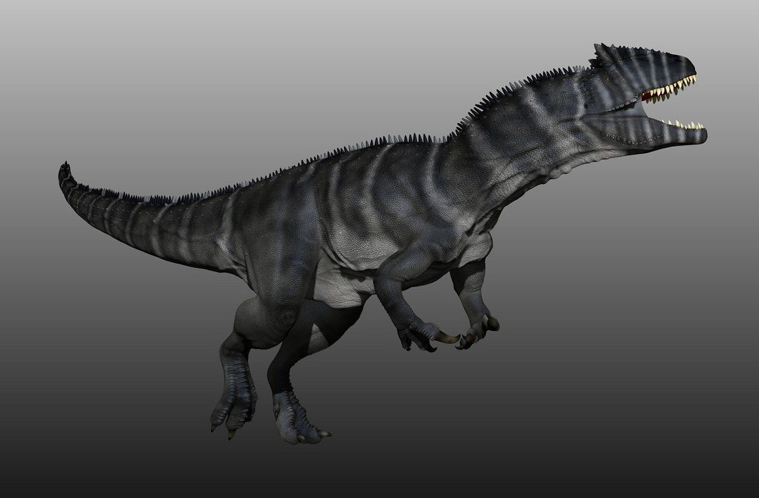 Free download Allosaurus by Manuelsaurus [1103x725] for your Desktop, Mobile & Tablet. Explore Allosaurus Wallpaper. Allosaurus Wallpaper