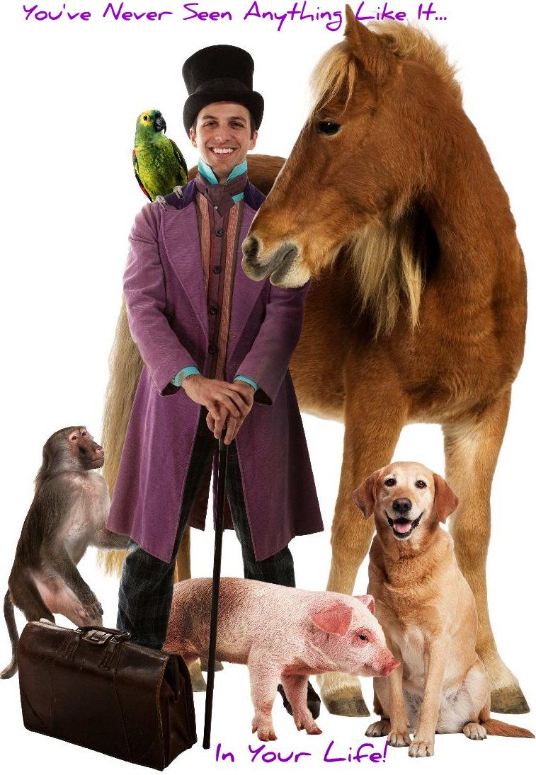 Dr. Dolittle wallpaper, Movie, HQ Dr. Dolittle pictureK Wallpaper 2019