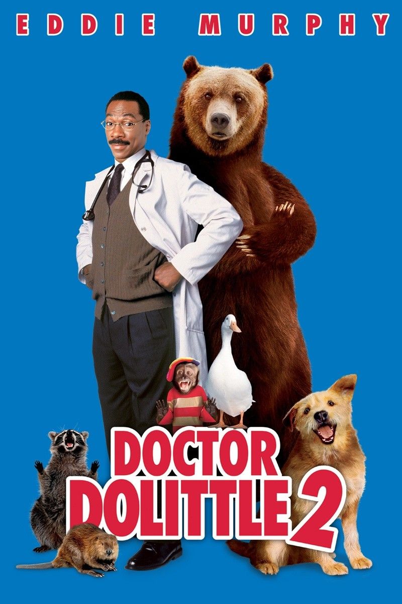 Most viewed Dr. Dolittle 2 wallpaperK Wallpaper
