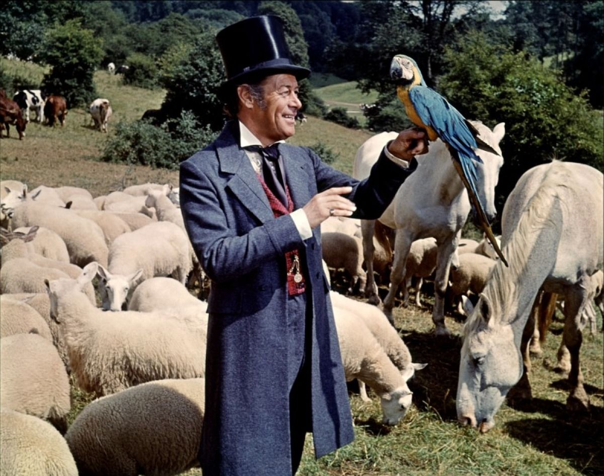 Dr. Dolittle wallpaper, Movie, HQ Dr. Dolittle pictureK Wallpaper 2019