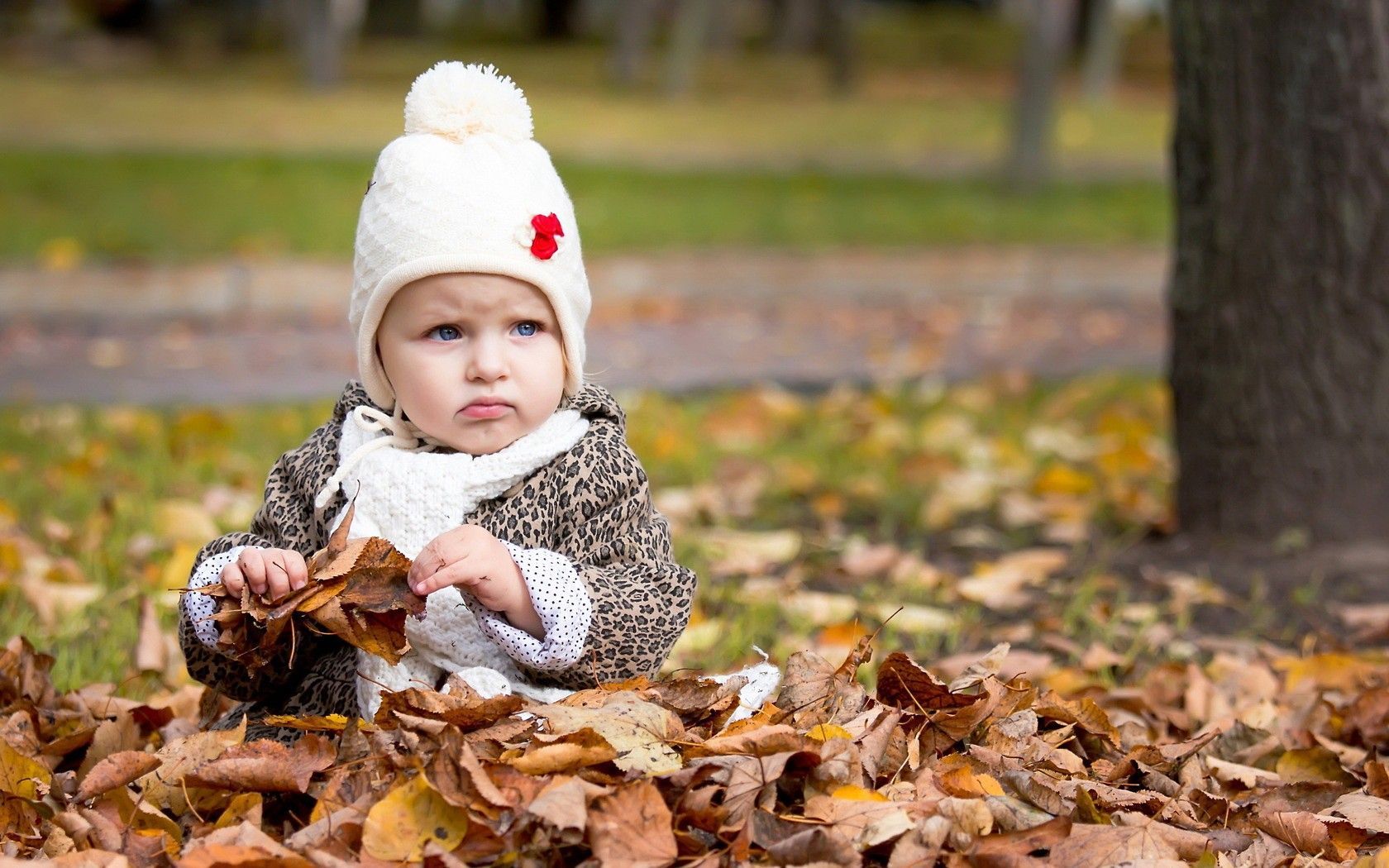 Baby Playing Autumn Leaves Wallpaper and Cute wallpaper 1680 1050