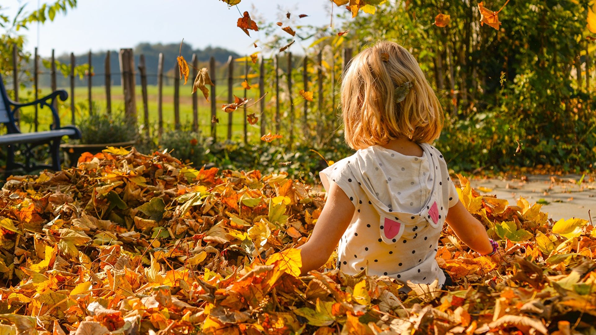 Wallpaper Little girls Foliage child Autumn sit 1920x1080