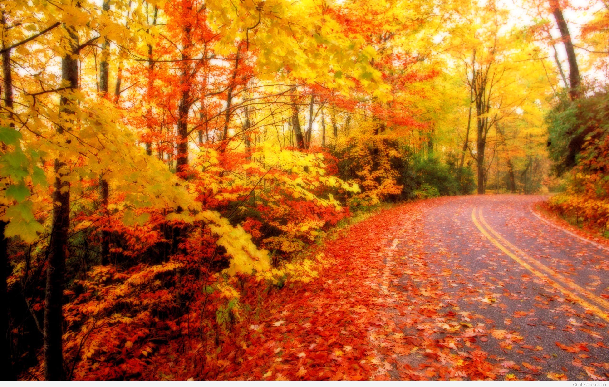 Best fall Autumn quotes with wallpaper