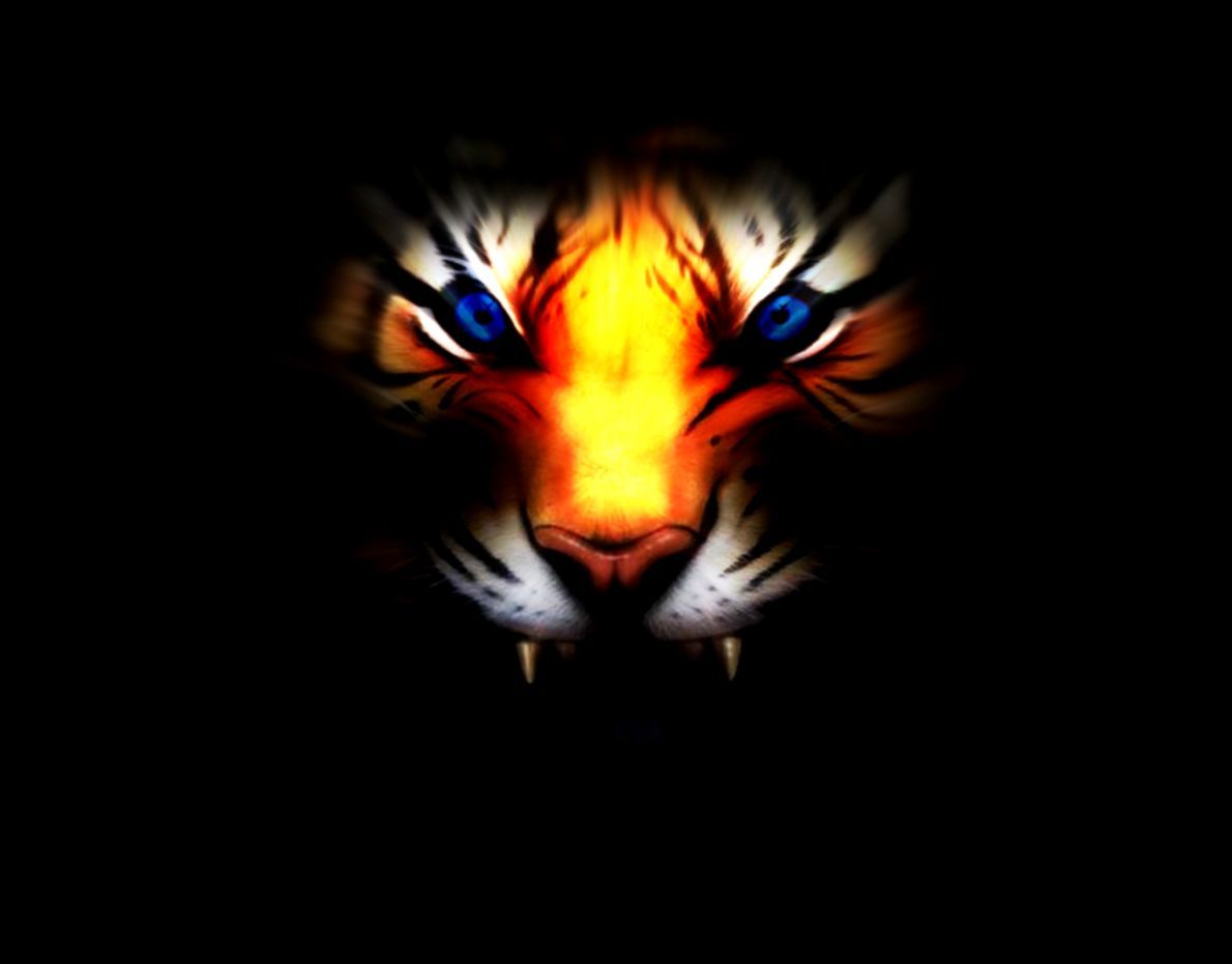 Free download White Tiger With Blue Eyes Wallpaper 3D Wallpaper Ninja [1190x931] for your Desktop, Mobile & Tablet. Explore Cool Wallpaper 3D. Funny Wallpaper, 3D Live Wallpaper Free Download