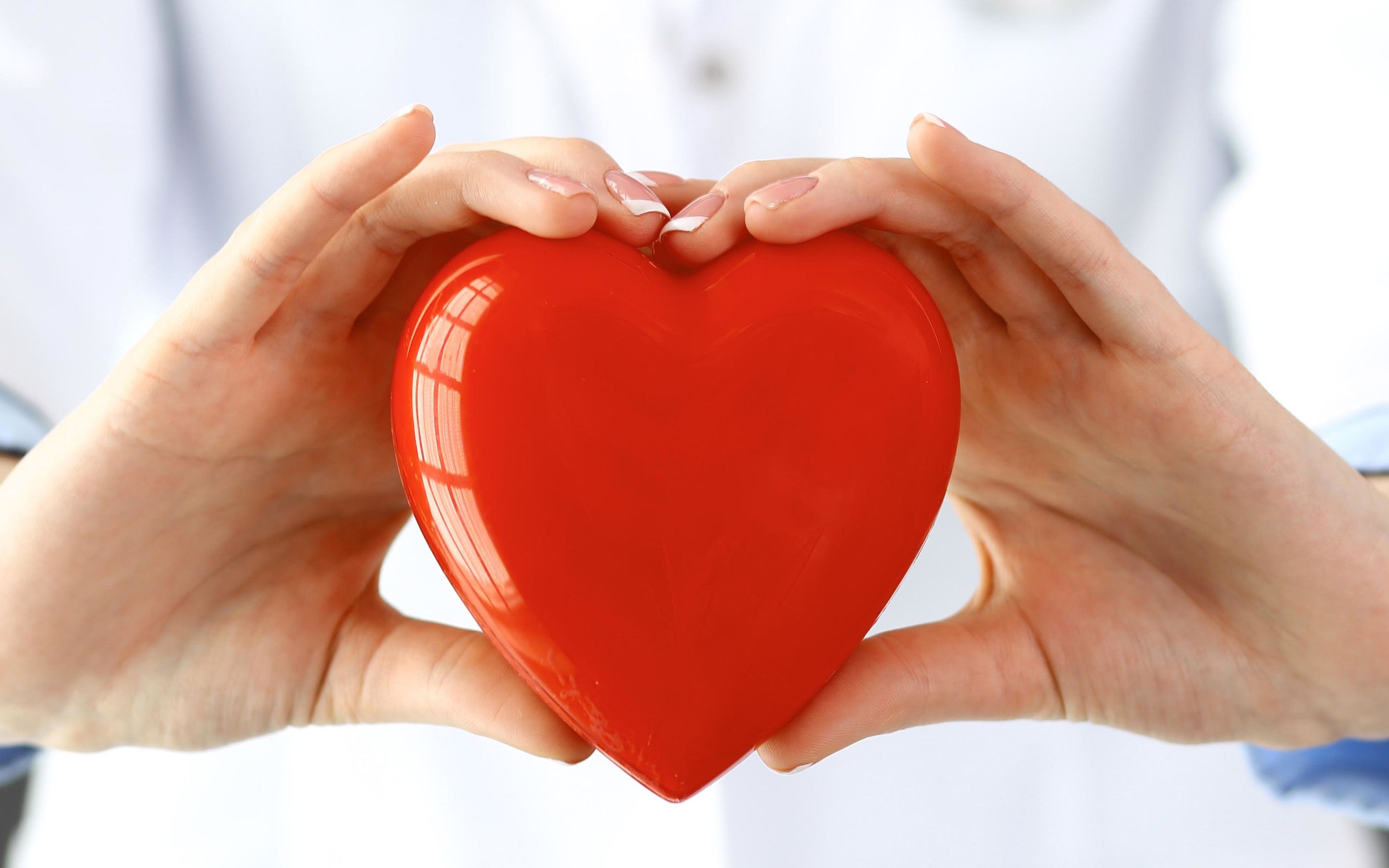 Download wallpaper red heart in hands, cardiology, doctor with a heart in his hands, cardiologist, doctor, healthy heart concepts, medicine concepts for desktop with resolution 2880x1800. High Quality HD picture wallpaper