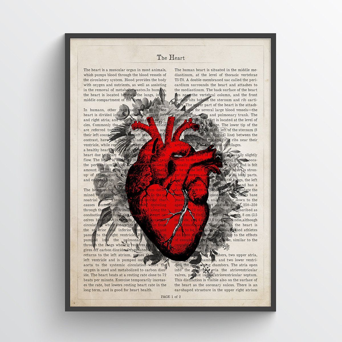 Anatomical heart print Medical Poster Cardiologist Gift. Etsy. Medical posters, Medical marketing, Medical decor