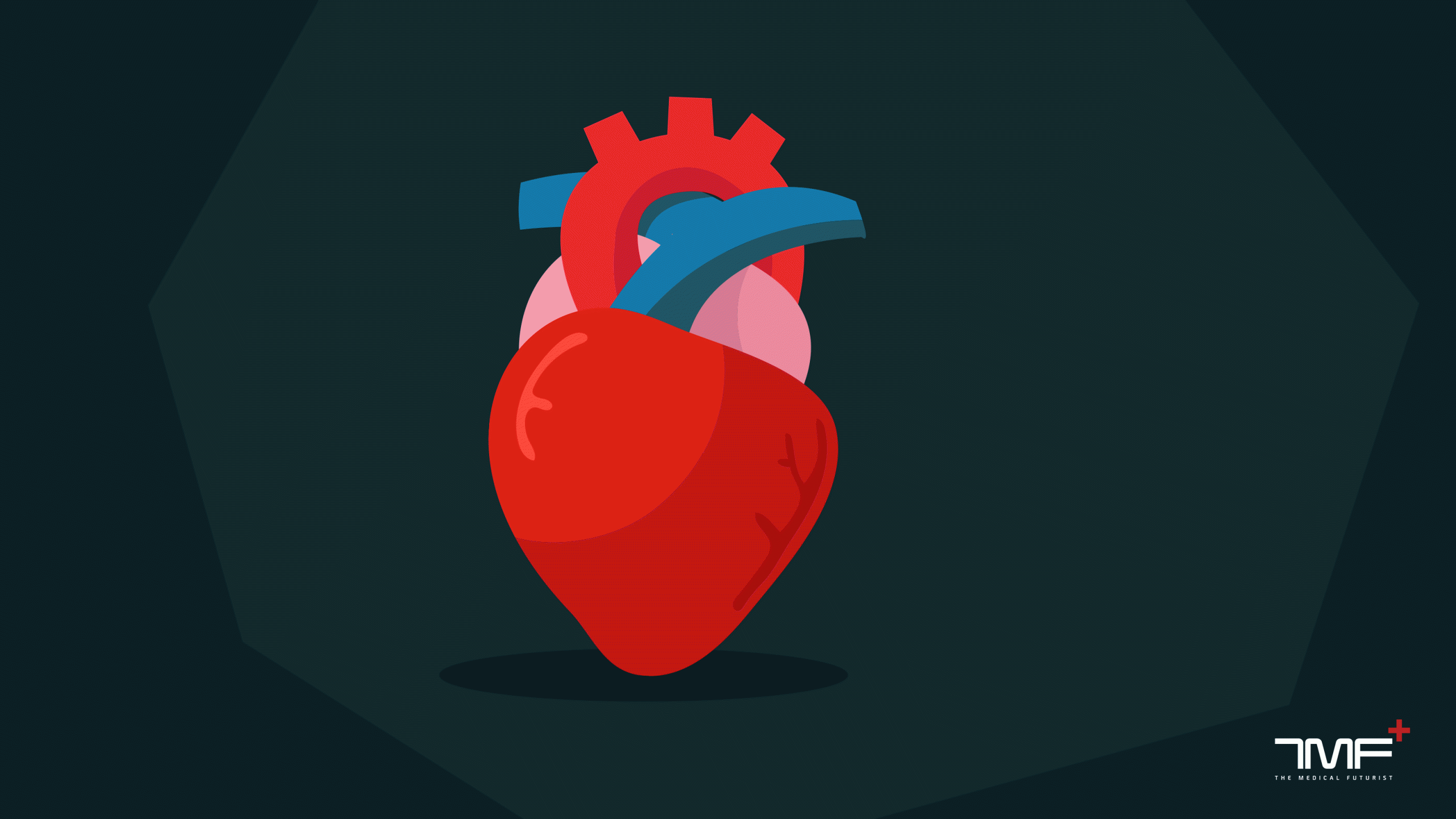 Heart Wallpaper Medical