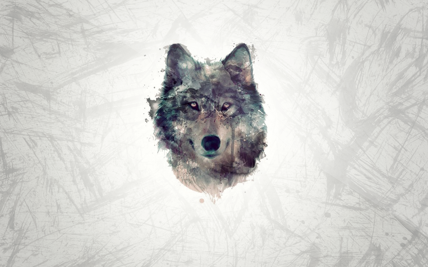Wolf Minimalist 4K Wallpaper #6.2197