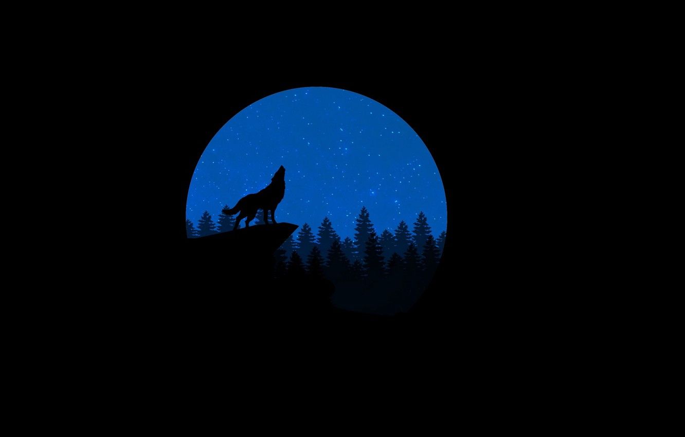 Wallpaper wolf, minimalism, vector, art image for desktop, section минимализм