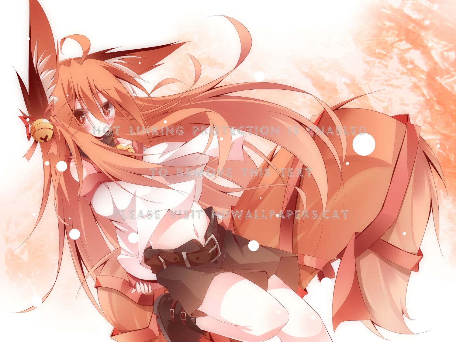 anime ears animal girl cute