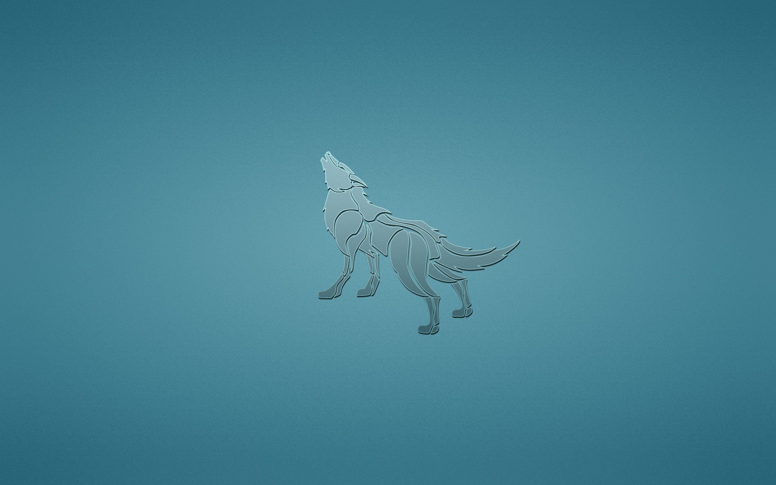 Wolf wolves predator carnivore minimal minimalism d wallpaperx1600