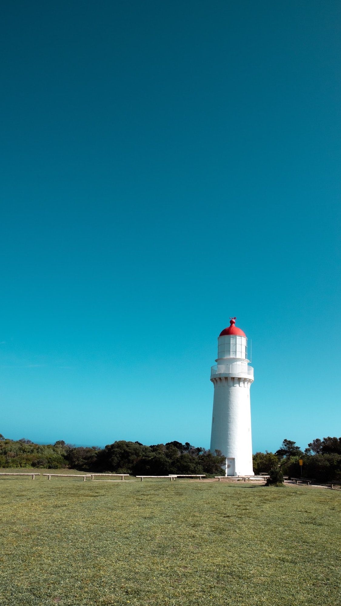 Gorgeous Mobile Wallpaper with HD Quality