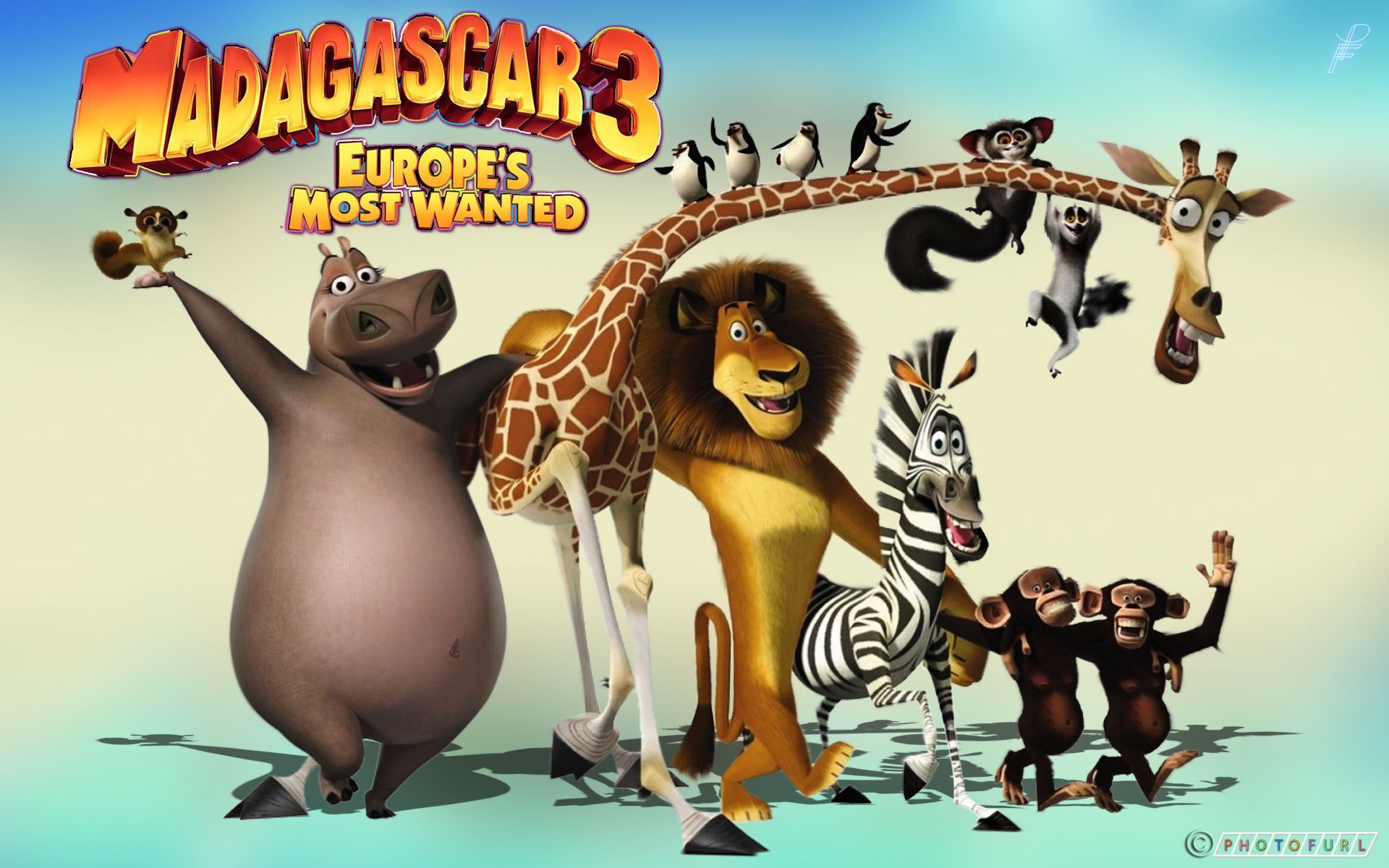 Madagascar 3 Movie Wallpaper Widescreen