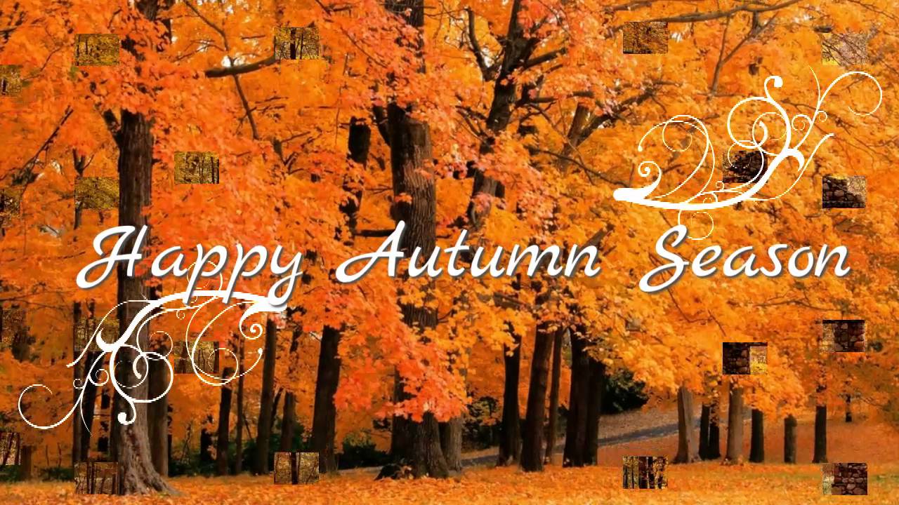 Happy Autumn, Happy Fall, Wishes, Greetings, Sms, Sayings, Quotes, E Card, Wallpaper, Whatsapp Video