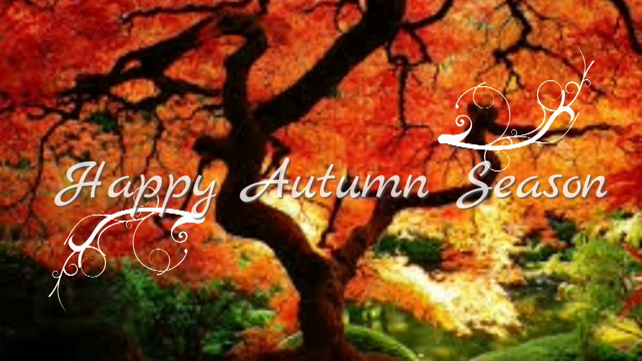 Happy Autumn Season Wishes, Greetings, Sms, Sayings, Quotes, E Card, Wallpaper, Whatsapp Video