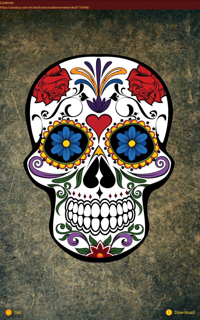 Day of the Dead Wallpaper for Android