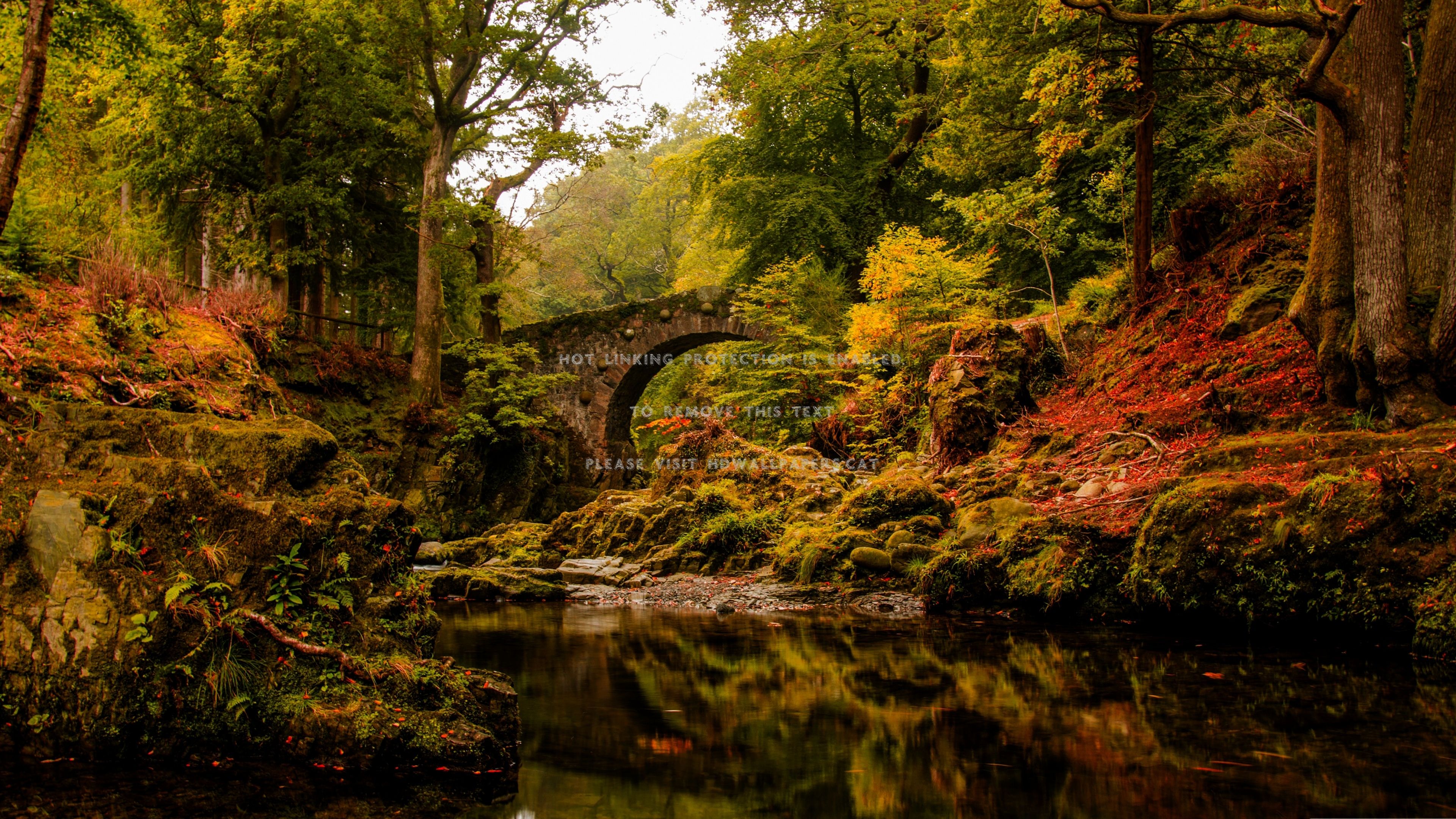 foley's bridge in autumn beautiful scenery