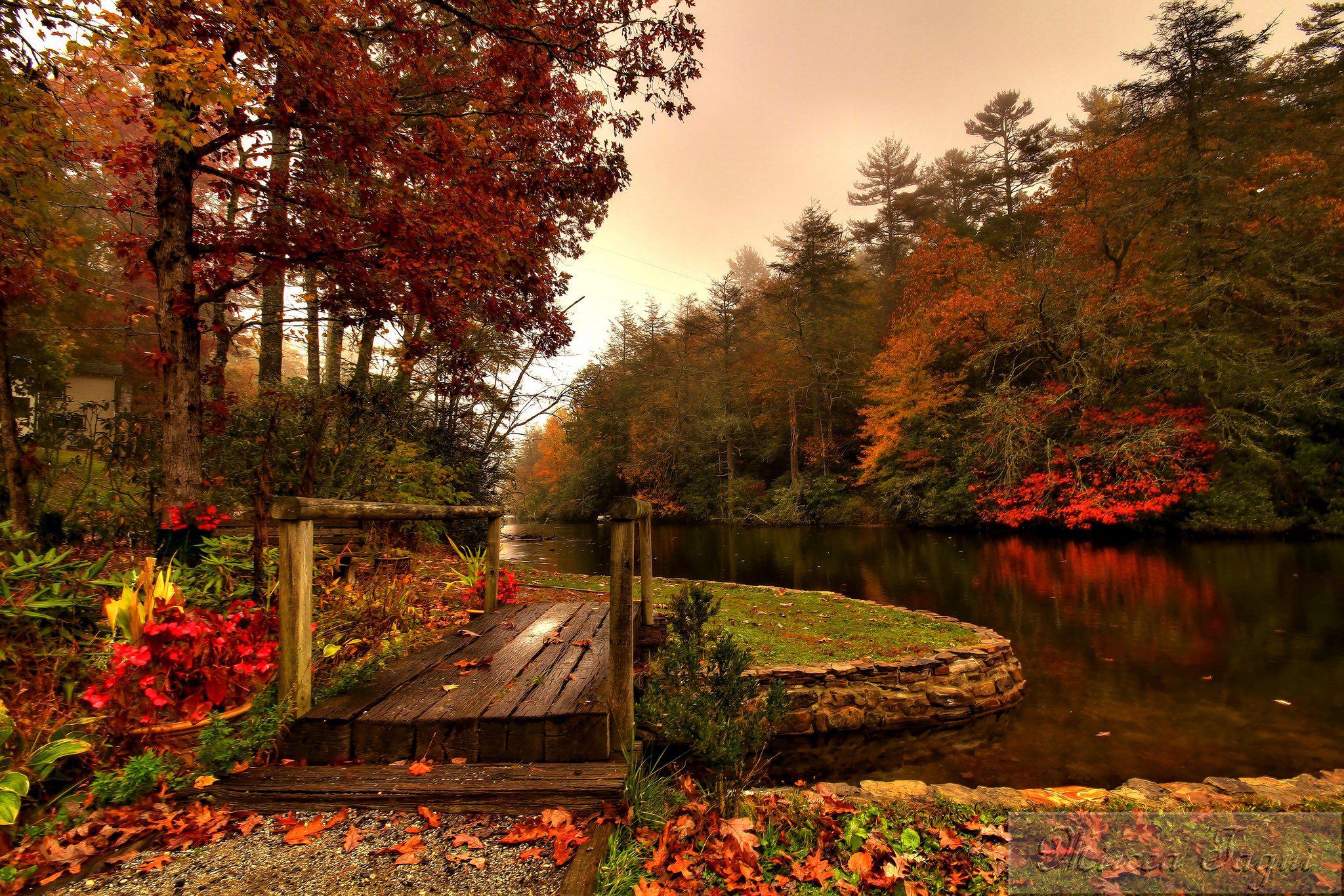 HD Forest River Autumn Bridge Free Background Wallpaper