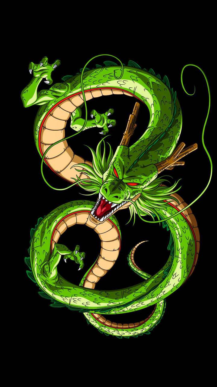 Shenlong Dragon