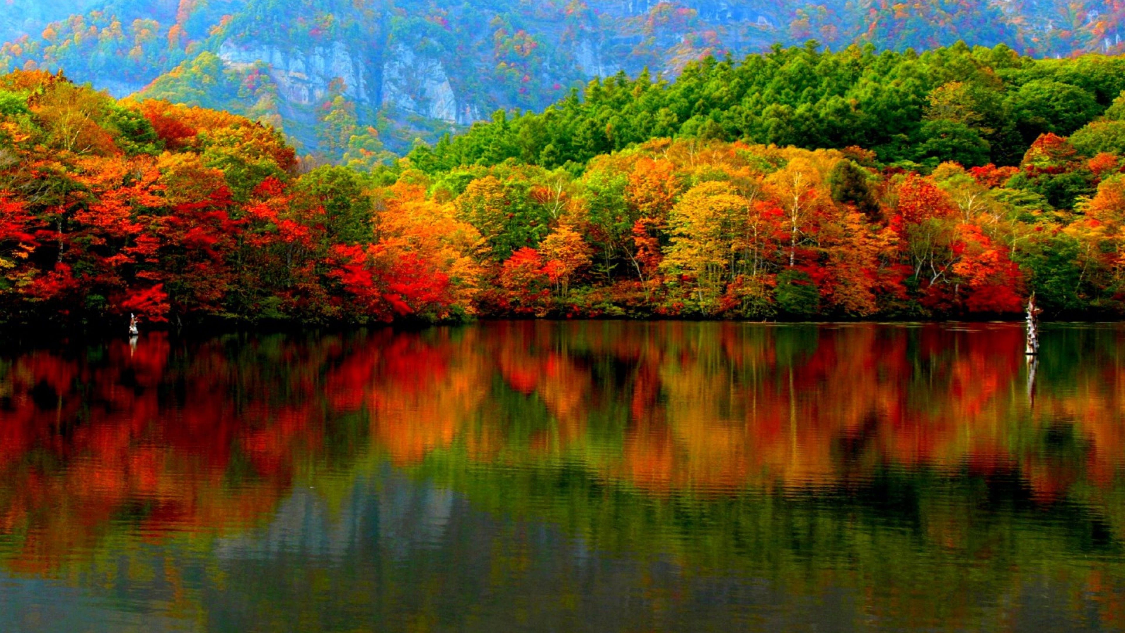 Mountain Autumn HD Wallpaper 4K Ultra HD