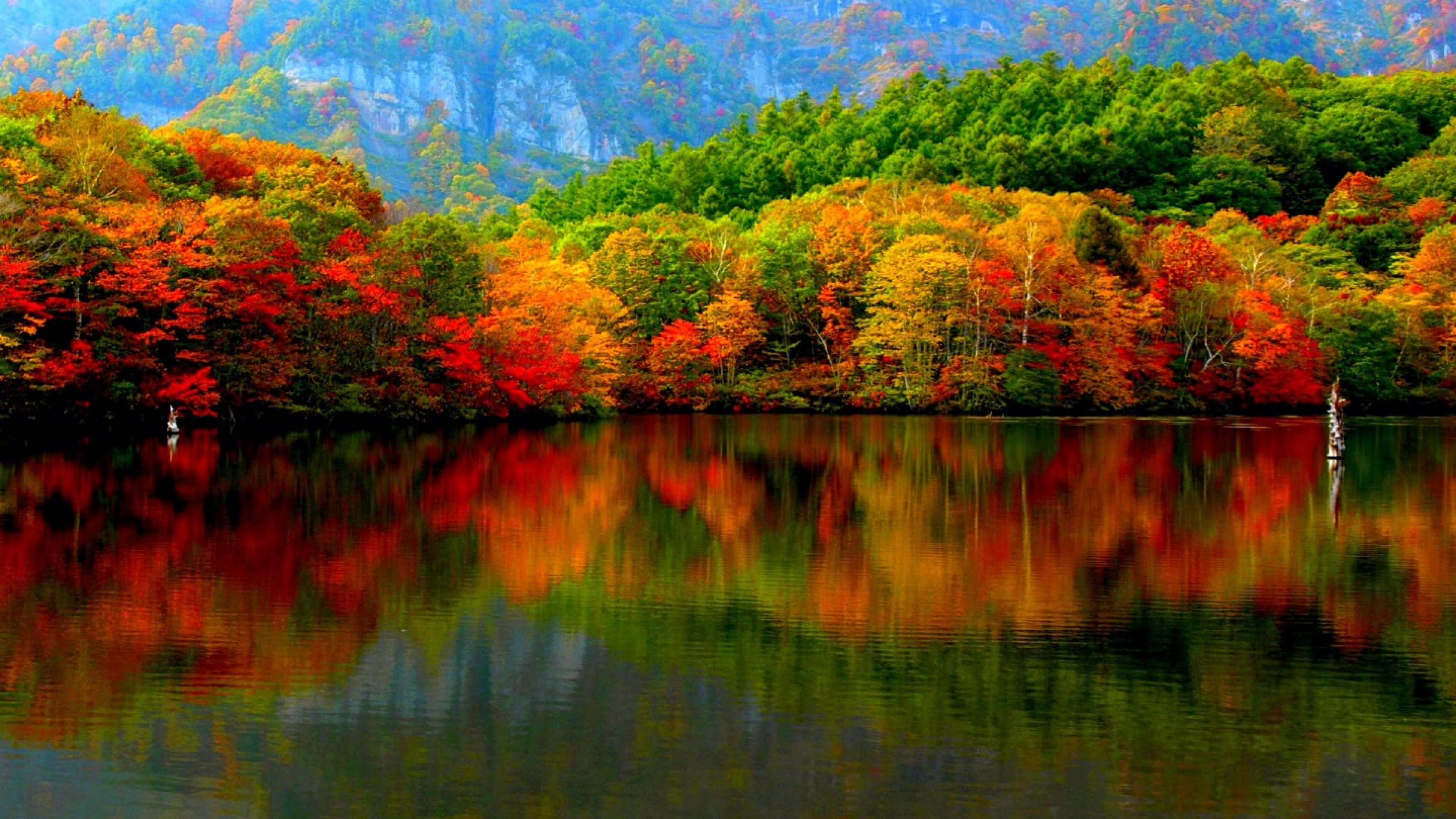 Autumn 4k Wallpapers Wallpaper Cave