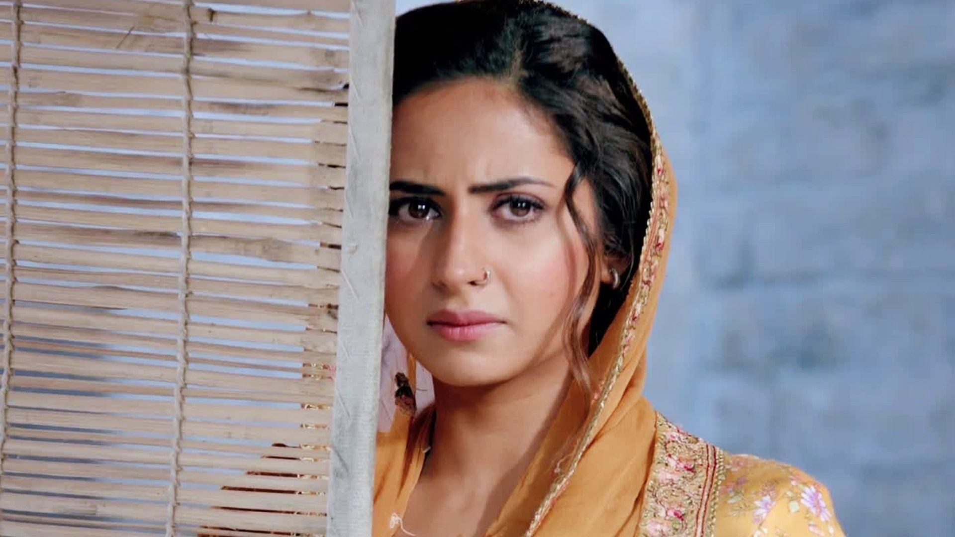 Lahoriye Sargun Mehta HD Desktop Wallpaper 16760