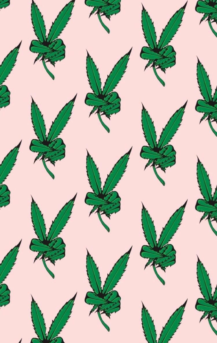Cute Stoner Wallpapers - Top Free Cute Stoner Backgrounds - WallpaperAccess