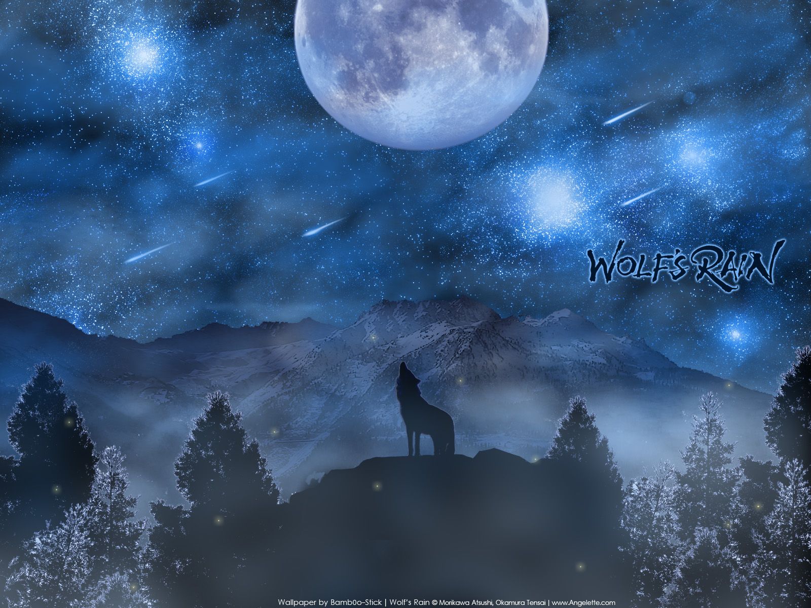 animal moon sky space stars tree wolf wolfs rain. konachan.com.com Anime Wallpaper