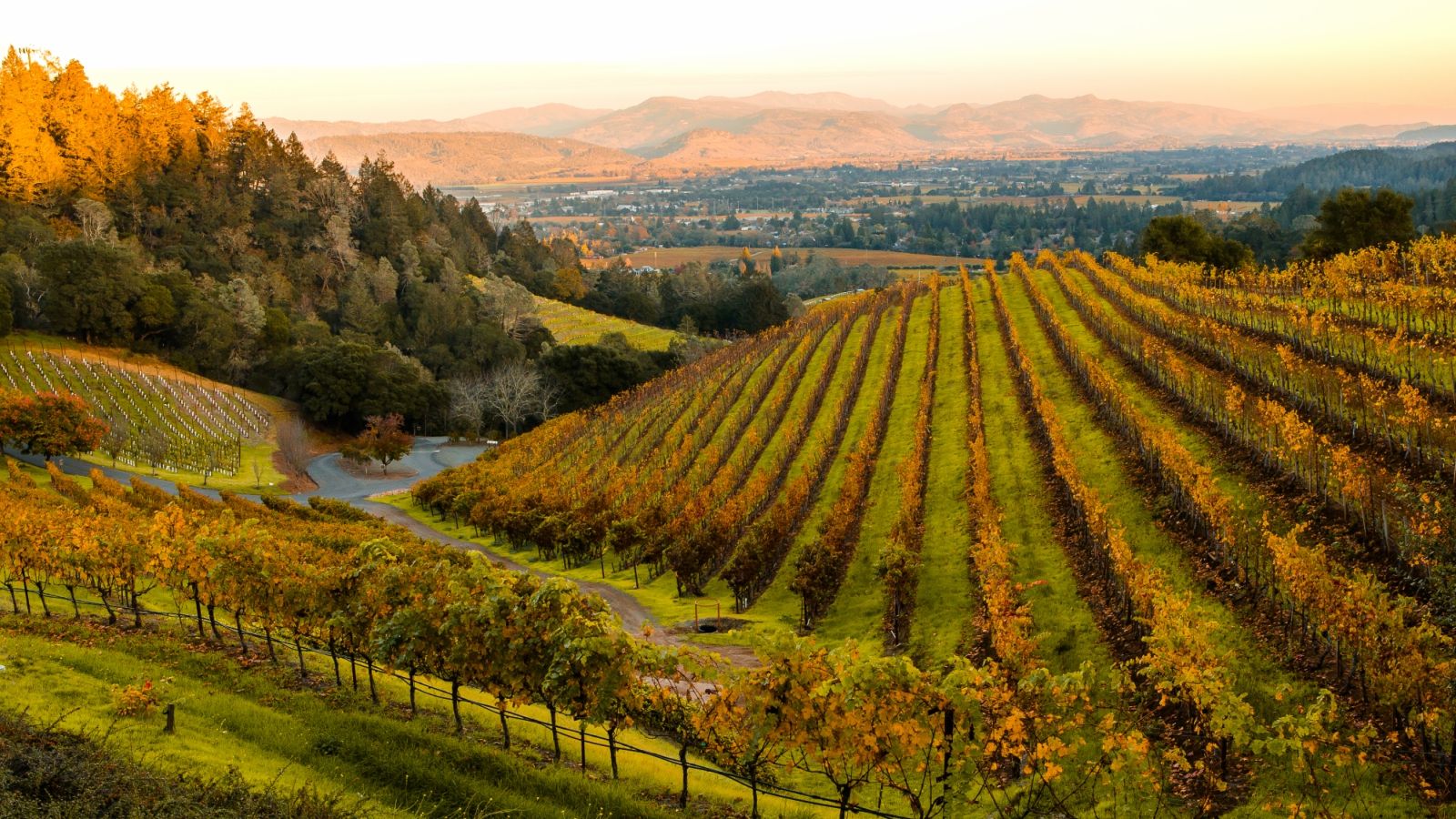 Things to Do in Napa Valley, CA. Las Alcobas, a Luxury Collection Hotel, Napa Valley