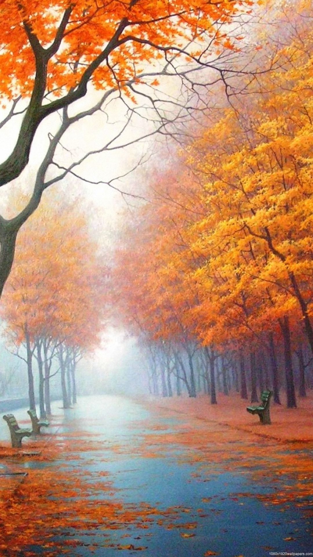 Sunshine Tree Autumn Leaf Road Wallpaper HD