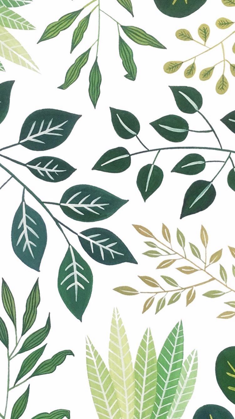 Plant wallpaper, Green aesthetic .ar.com