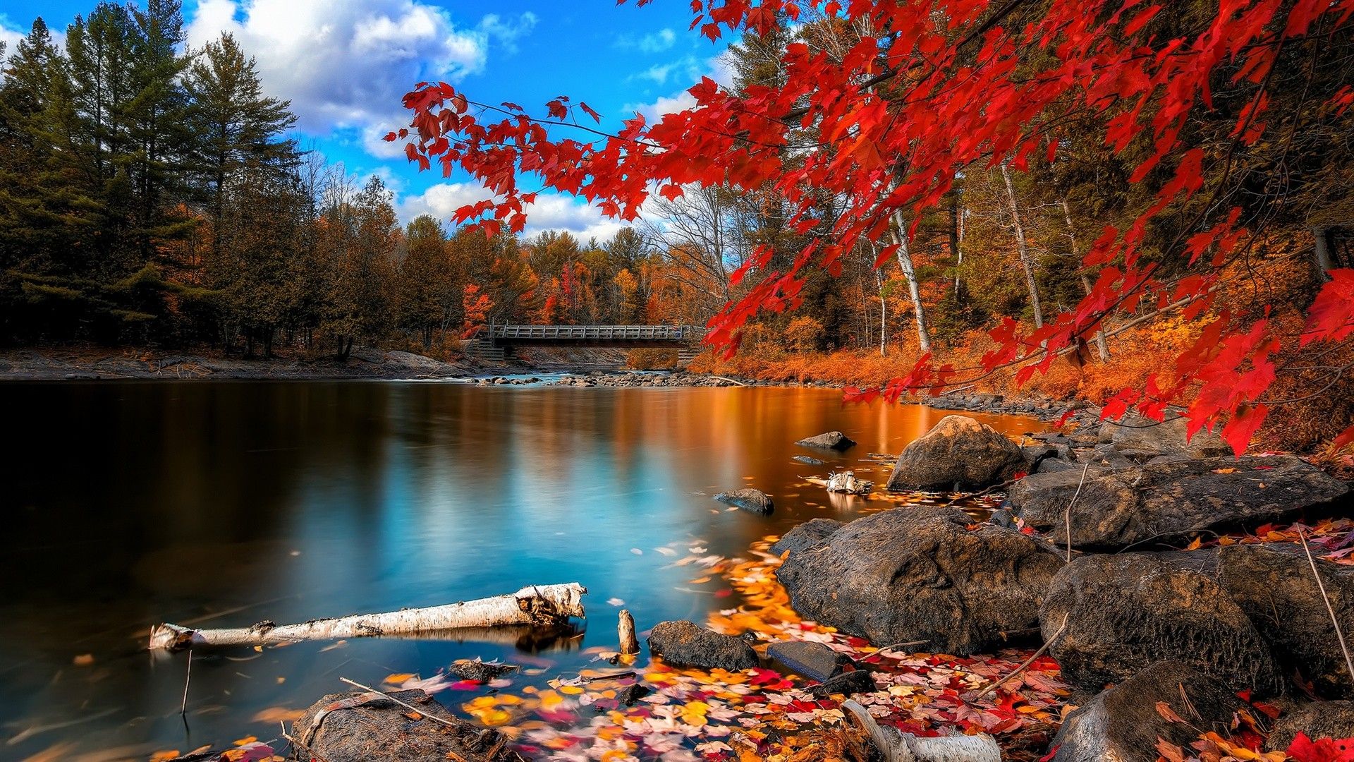 landscapes, nature, autumn, woods, Wooden Bridge, red leaves wallpaper